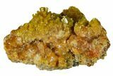 Vibrant Pyromorphite Crystal Cluster - Bunker Hill Mine, Idaho #168401-1